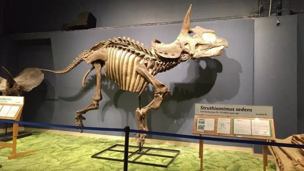 Orlando science center